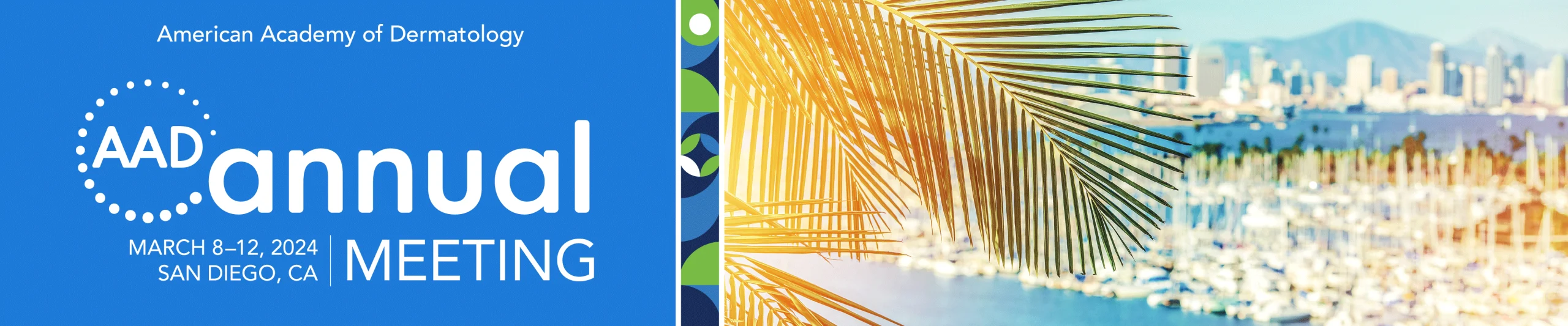 2024 American Academy of Dermatology Annual Meeting On-Demand