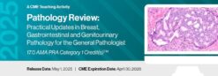 2025 Pathology Review: Practical Updates in Breast, Gastrointestinal and Genitourinary Pathology for the General Pathologist