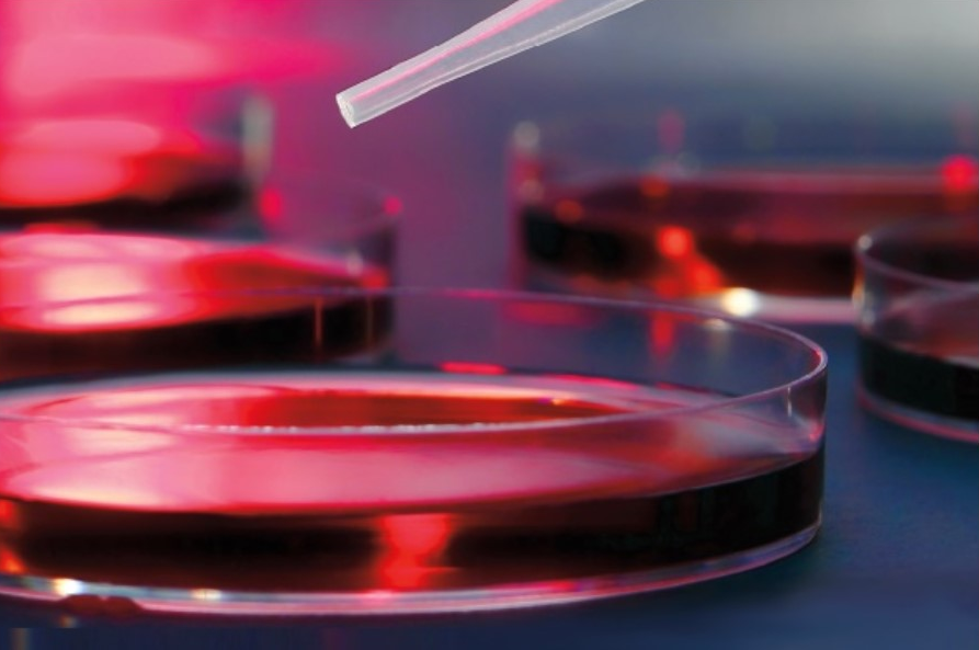 Mayo Clinic 32nd Annual Hematology-Oncology Reviews 2023 (Videos + Slides)