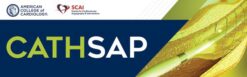 ACC CathSAP 2024 – Updated July 2024 (Videos + Audios + Slides + Quiz)