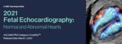 2021 Fetal Echocardiography Normal and Abnormal Hearts