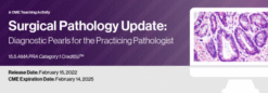 2022 Surgical Pathology Update Diagnostic Pearls for the Practicing Pathologist – Vol. VI