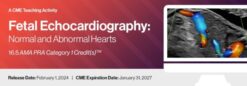 2024 Fetal Echocardiography Normal and Abnormal Hearts