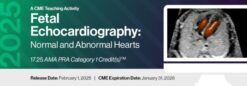 2025 Fetal Echocardiography Normal and Abnormal Hearts