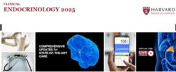 Harvard Clinical Endocrinology 2025