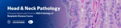 MSKCC Head & Neck Pathology – The Pathology of Neoplastic Diseases 2025 (Videos with subtitles + Slides)