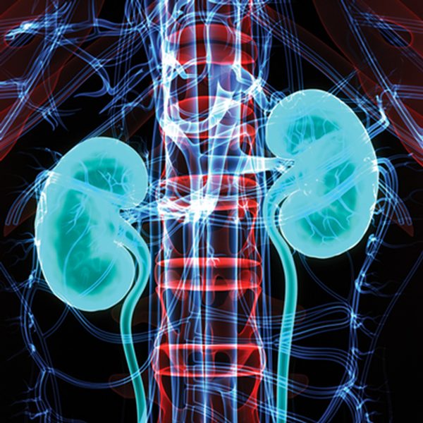 Oakstone Intensive Review of Nephrology 2021