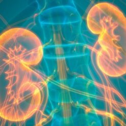 Oakstone Intensive Review of Nephrology 2023