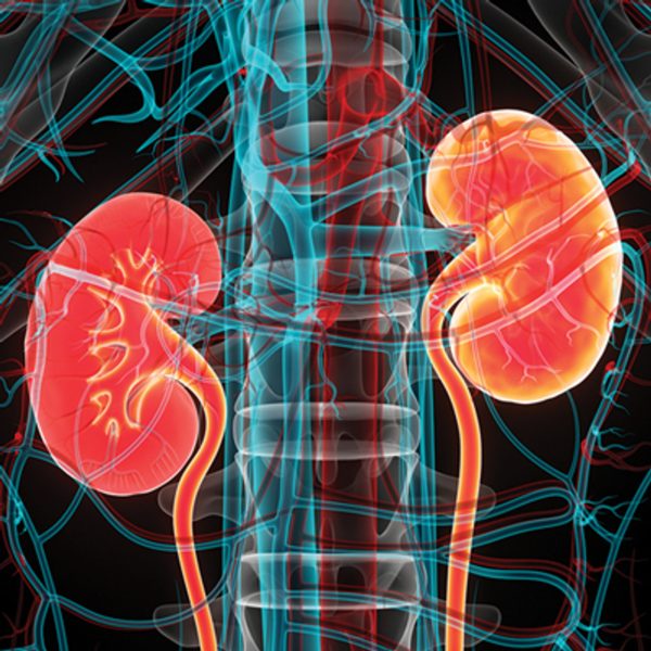 Oakstone Intensive Review of Nephrology 2024