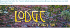 Diagnostic Pearls for the Practicing Pathologist Gynecologic, Breast, Genitourinary and Soft Tissue Pathology 2025