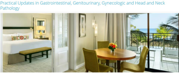 Practical Updates in Gastrointestinal, Genitourinary, Gynecologic and Head and Neck Pathology 2025