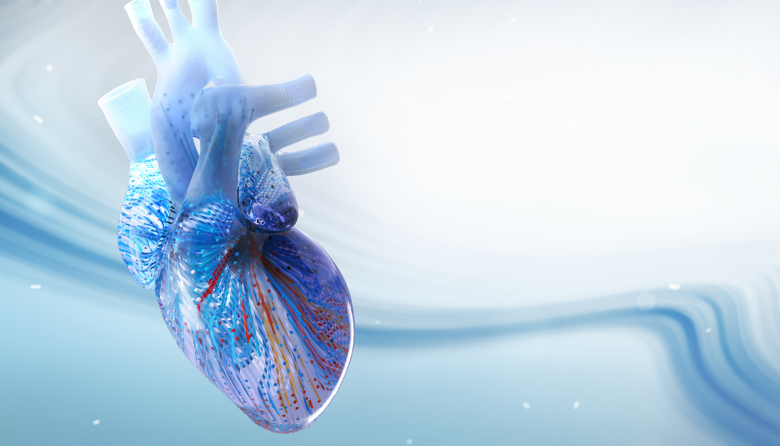 Mayo Clinic 2025 Cardiovascular Online Board Review (Videos + Slides)