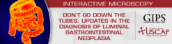 USCAP Don’t Go Down the Tubes Updates in the Diagnosis of Luminal Gastrointestinal Neoplasia 2025