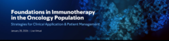 MSKCC Foundations in Immunotherapy in the Oncology Population 2026