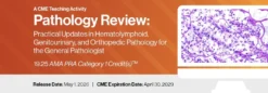 2026 Pathology Review: Practical Updates in Hematolymphoid, Genitourinary, and Orthopedic Pathology for the General Pathologist