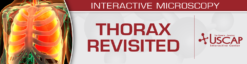 USCAP Thorax Revisited 2026 (Videos + PDFs)