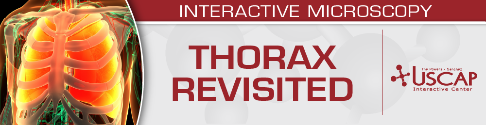USCAP Thorax Revisited 2026 (Videos + PDFs)